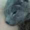 ������