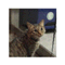 mimichanblog