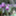 minami_aizu