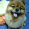 minami_yousetu