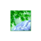 mishii_eco