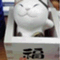 mjponta