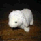 mluni71