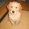���Ϥ�