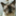 morioka_41