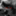 moso_f1f2