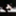 mune52spitz