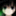 mysterytrick