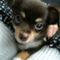 n_miwa