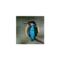 namida_co