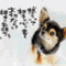 nandeya_member