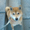 nick_daigo_07
