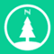Noel