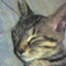 o_oslot1118o_o