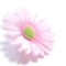 omiya_nagisa325