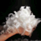 one_step_engfeather