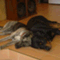 perthhomestay
