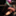 piko_jwp
