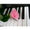 pink_fetishism