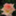 pinkfrance0316