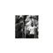 pipp0707
