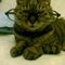 pittanko