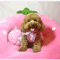 poodle_love