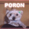 popopoporon