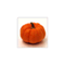 pumpkin4