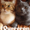 QUERERON