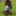 ragdoll0701