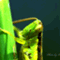 raindrops_blog