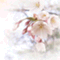 ranranran229