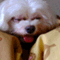 rascal_girl