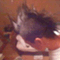 realmusic_junky