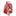 redking41_94