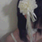 ribbonfish_flow