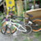 rimbmx