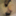 ron_ron_2412