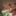 ruma_67
