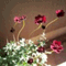ruma_67