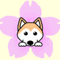 ryouta198883