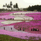 saitama_hot_spring