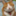 sasebo_kannoumama