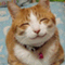 sasebo_kannoumama