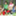 seed_member