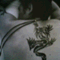 shian1789