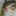 shib_jubei