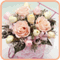 shion1112