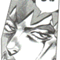 sinsoukyumei